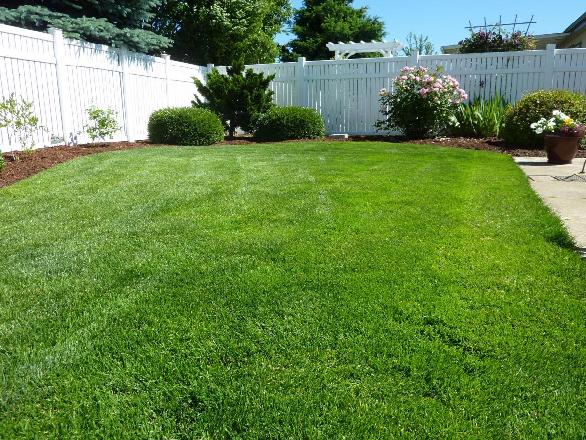 Lawn Care in Parrish, FL | Your Green Team