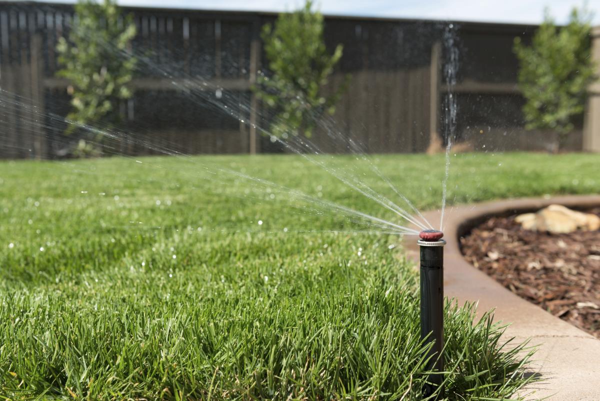tips-for-properly-watering-your-lawn-in-summer